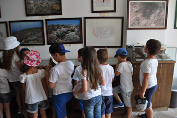 Προτάσεις για καλές πρακτικές εξοικονόμησης ενέργειας σε σχολικές μονάδες 