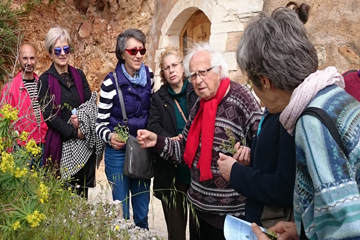 Κρητικές στράτες από την Ορθόδοξο Ακαδημία Κρήτης 