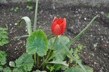 Επίσκεψη σχολείου στην ΟΑΚ